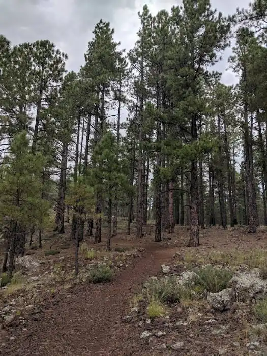 Griffith Springs in Flagstaff 89A