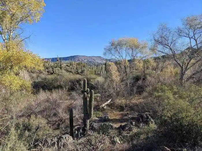 Jewel of the Creek hike in Cave Creek, Arizona