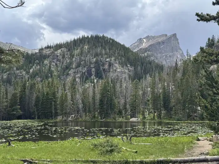 Nymph lake with 