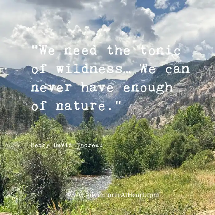 Henry Thoreau quote