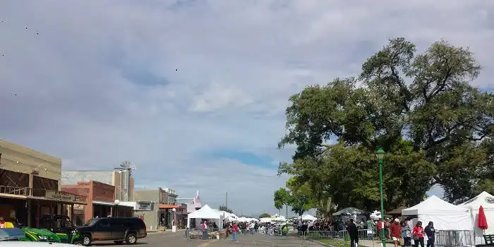 Wilcox, Arizona Wine Festival