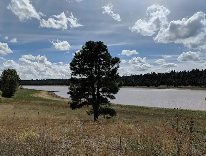 lake mary