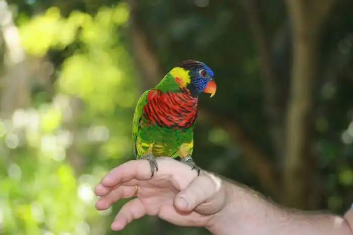 San Diego Wildlife Zoo