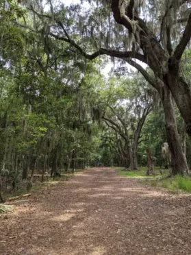 Wormsloe Trail