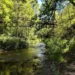 west fork pedestrian bridge