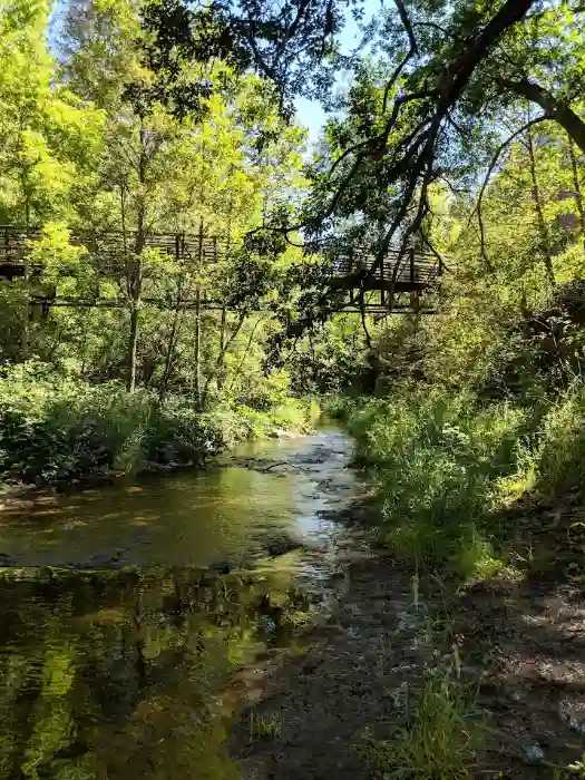 west fork pedestrian bridge