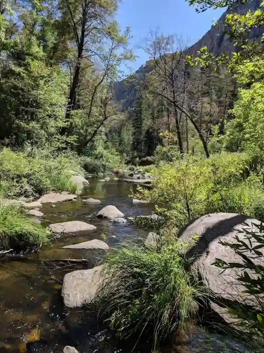 West Fork Trail in June