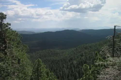 Mongollon Rim Arizona