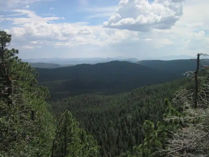 Mongollon Rim Arizona