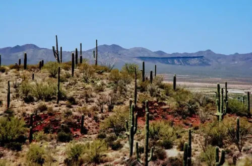 Gates Pass Drive in Tucson