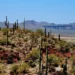 Gates Pass Drive in Tucson