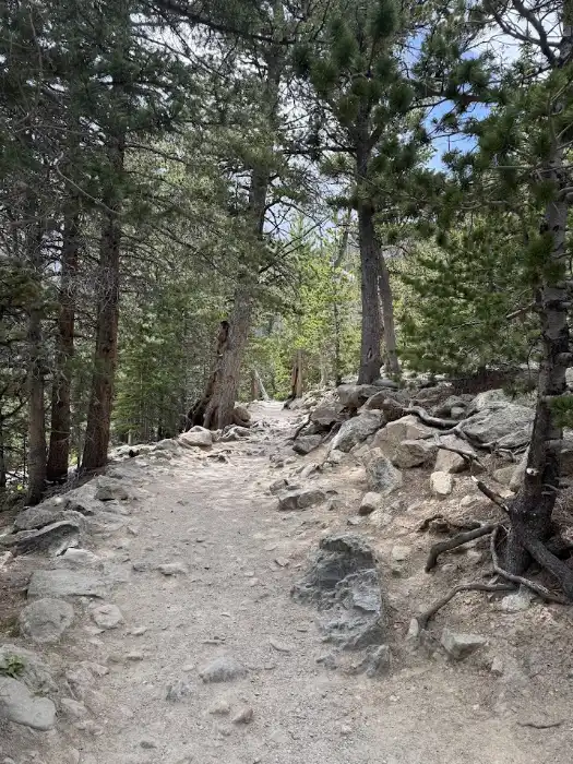 trail to dream lake off of Bear Lake Road in RMNP
