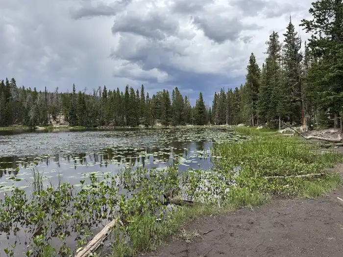 Nymph Lake off of Bear Lake Road in RMNP