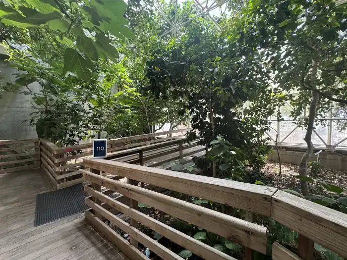 The Orchard at Biosphere 2 in Arizona