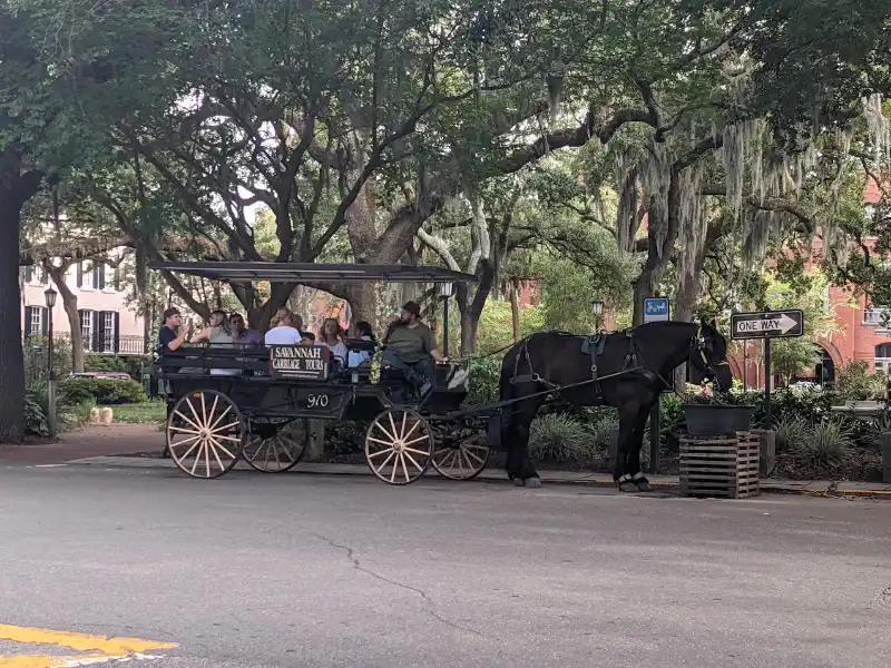 Savannah Carriage ride